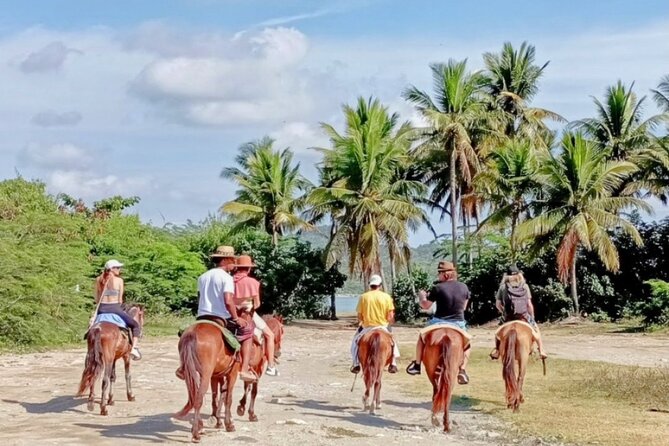 AMBER COVE-TAINO BAY Horses Beach Ride & City Sightseeing - Puerto Plata Central Stops: Independence Park, Pink Street, and Amber Museum