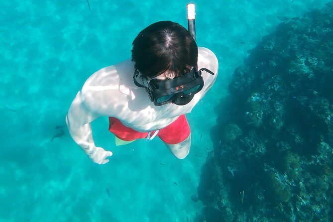 Amber Cove & Taino Bay Shore Excursion, Private Charter on Blue Sky Catamaran - Snorkeling multiple reefs, plus help that makes it easier