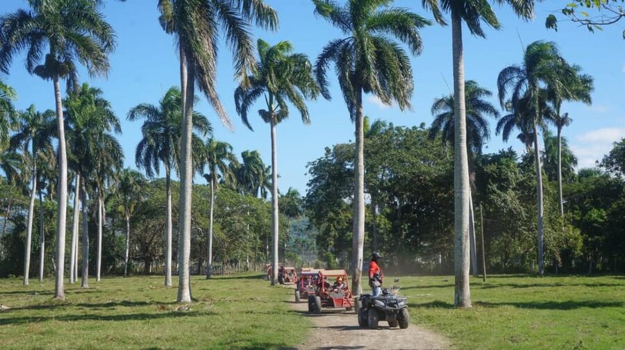 Amber Cove - Taino Bay Super Buggy 4 Seaters Tour - Who this buggy tour fits best (and who should skip it)
