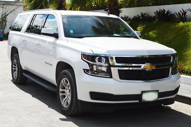 Arrival Luxury Transportation: Punta Cana International Airport to Hotels (1-5) - Why a Private PUJ Transfer Feels Like Instant Vacation
