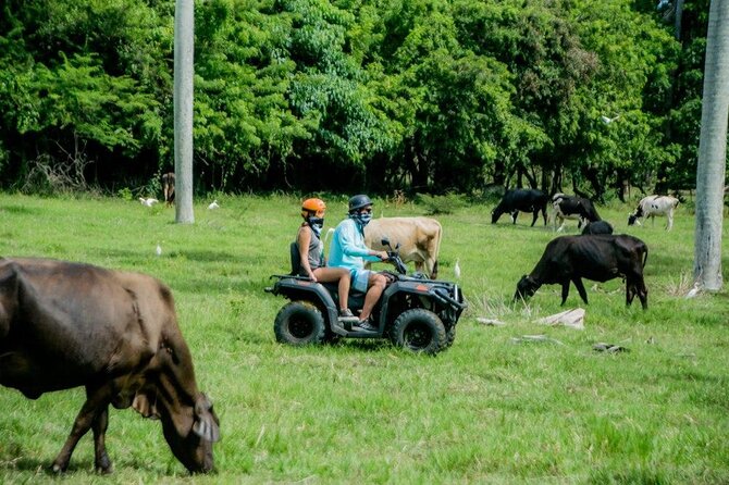 ATVs Fun Tour from Amber Cove and Taino Bay Puerto Plata - Guides, photos, and the small touches that shape the day