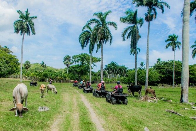 ATVs Fun Tour from Amber Cove and Taino Bay Puerto Plata - Shared ATVs: you get the fun, and you trade away privacy