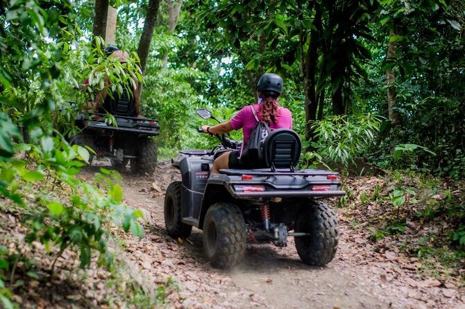 ATVs Fun Tour from Amber Cove and Taino Bay Puerto Plata - Entering the Maimón jungle: palm forests, stream splashes, and a beach reset