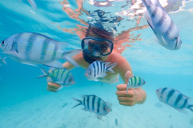 Bacardi Island Excursion with Catamaran, Beach and Lunch - Key highlights