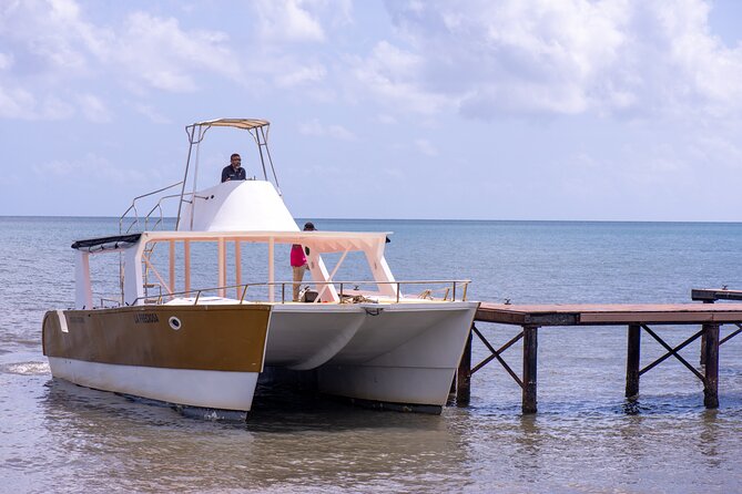 Bacardi Island Excursion with Catamaran, Beach and Lunch - Should you book this Bacardi Island catamaran excursion?