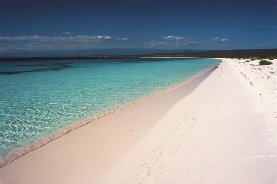 Bahía de las Aguilas: Beach Day Trip by Boat - Should you book Bahía de las Aguilas by boat?