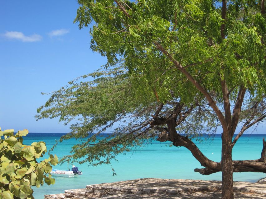 Bahía de las Aguilas: Beach Day Trip by Boat - Who should book this Bahía de las Aguilas boat trip