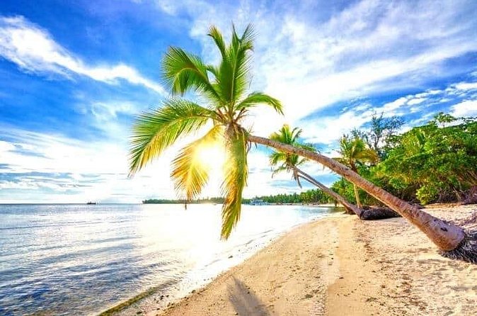 Barceló Bávaro Palace - Round Trip Shuttle - Punta Cana Airport - Price and Value for a Punta Cana Airport Shuttle