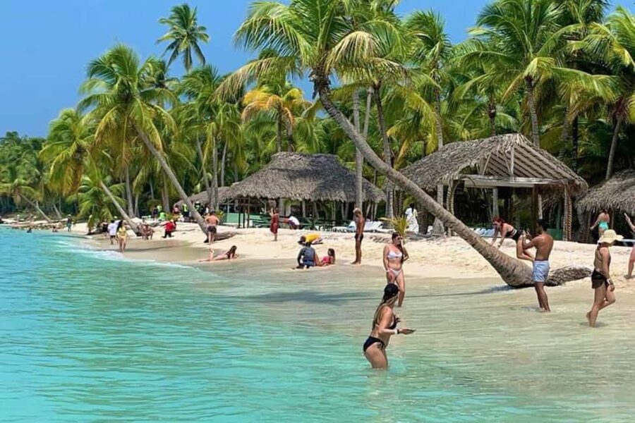 Bavaro: Saona Island Speedboat Tour with Open Bar - Snorkeling in starfish natural pools: how to make it worth your time
