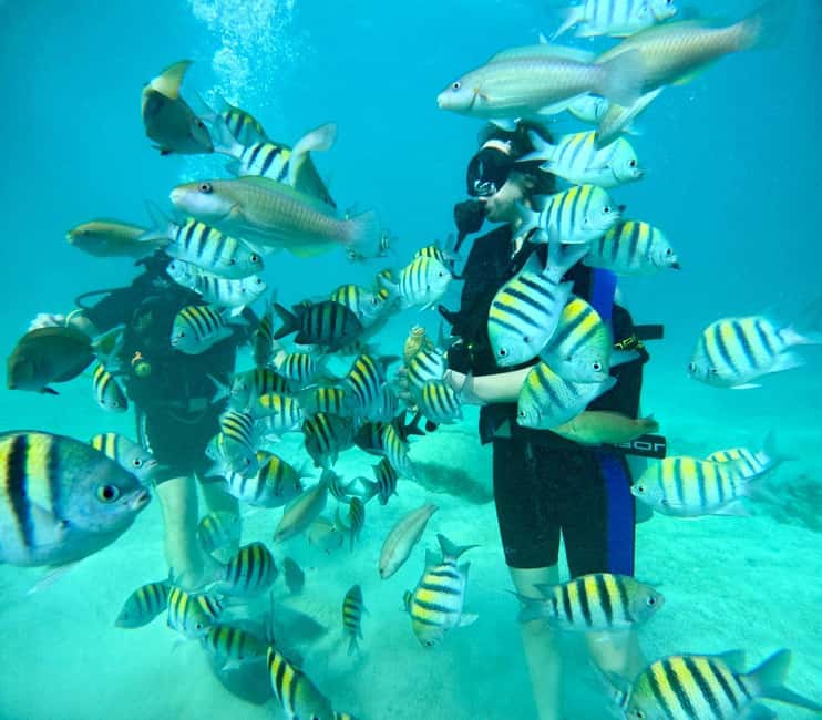 Bávaro: Scuba Diving Experience for Beginners - Key things worth knowing before you go