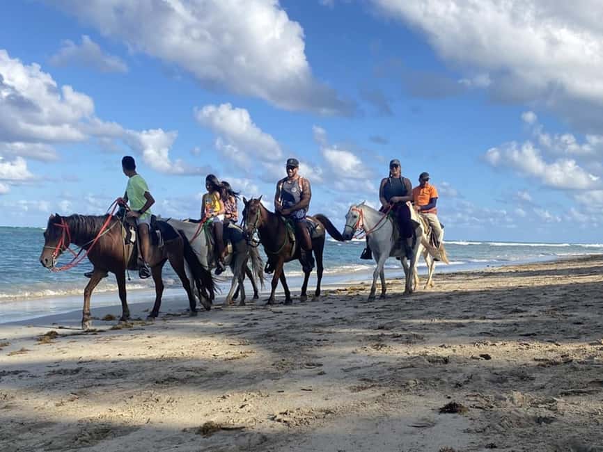 Bayahibe: Buggy and Horseback Riding Tour - Key highlights to look forward to