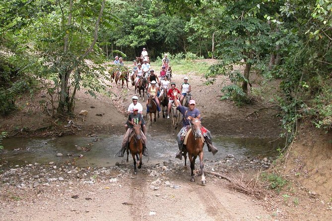 Bayahíbe Horseback Riding & River swimmig - Key things to know before you go