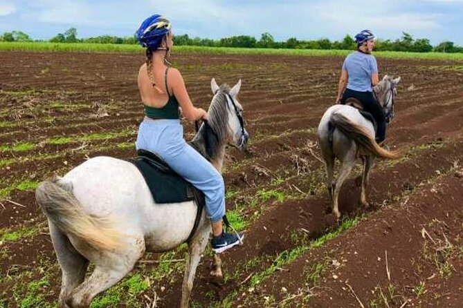 Bayahíbe Horseback Riding & River swimmig - Timing and pickup: the small details that prevent stress