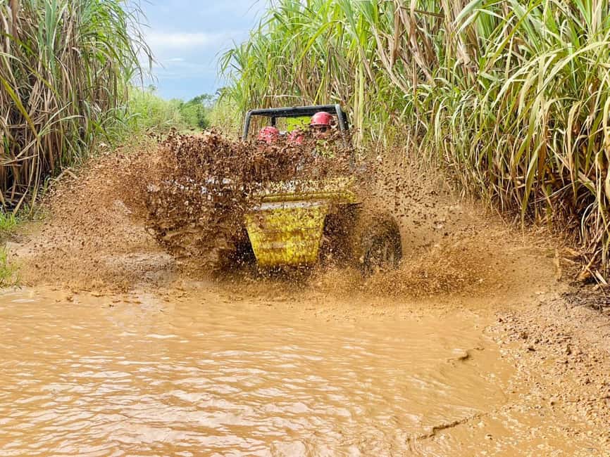 Bayahibe: Jungle Off-Road Buggy Adventure - The real payoff: 4 hours of countryside, not just driving