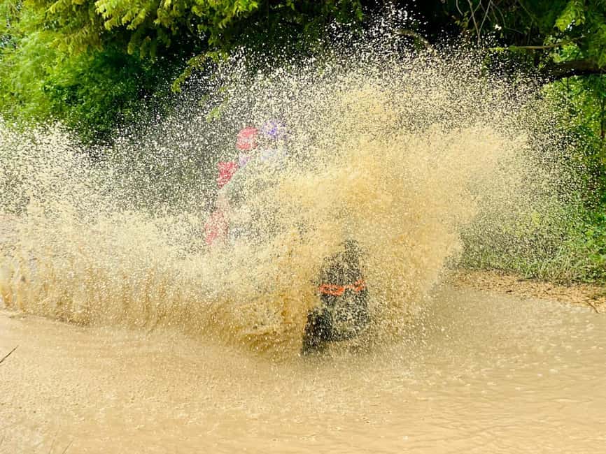 Bayahibe: Jungle Off-Road Buggy Adventure - The typical ranch: bananas, endemic plants, and tropical tastes