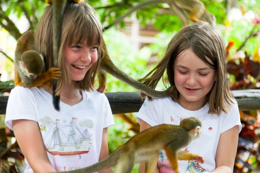 Bayahibe/La Romana: 4x4 Buggy and Monkeyland Tour - Who this tour suits best, and who should skip it