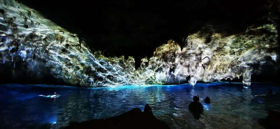Bayahibe: National Park Jungle Walk & Snorkeling in Cenotes - From Bayahibe pickup to the jungle: what the start feels like
