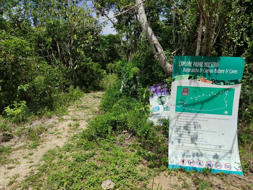 Bayahibe: National Park Jungle Walk & Snorkeling in Cenotes - Should you book Bayahibe: Cotubanamá jungle walk and Cenotes Chicho snorkeling?