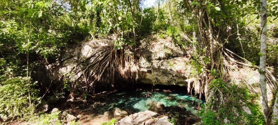 Bayahibe: National Park Jungle Walk & Snorkeling in Cenotes - What to bring (and what to wear) so you feel comfortable