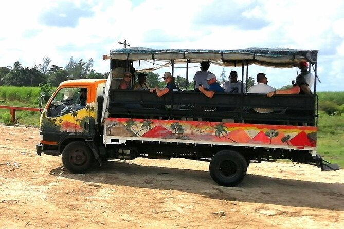 Bayahibe Safari Discovery - Benerito sugar cane fields, tasting, and a look at Batey life