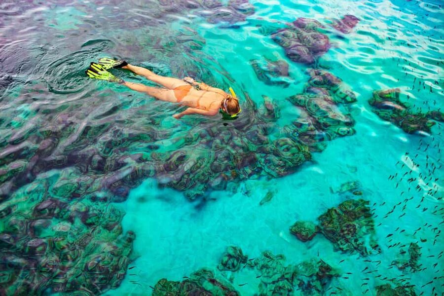 Bayahibe: Snorkeling Tour - Sea, Cotubanama park & Cenotes - Key highlights you will actually care about
