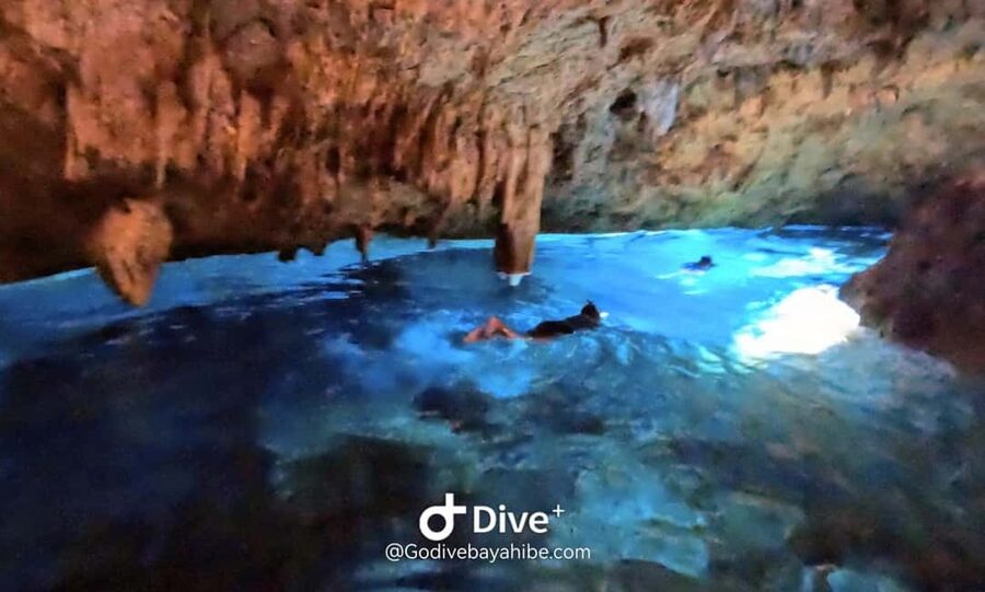 Bayahibe: Snorkeling Tour - Sea, Cotubanama park & Cenotes - Who should book this day, and who might not love it