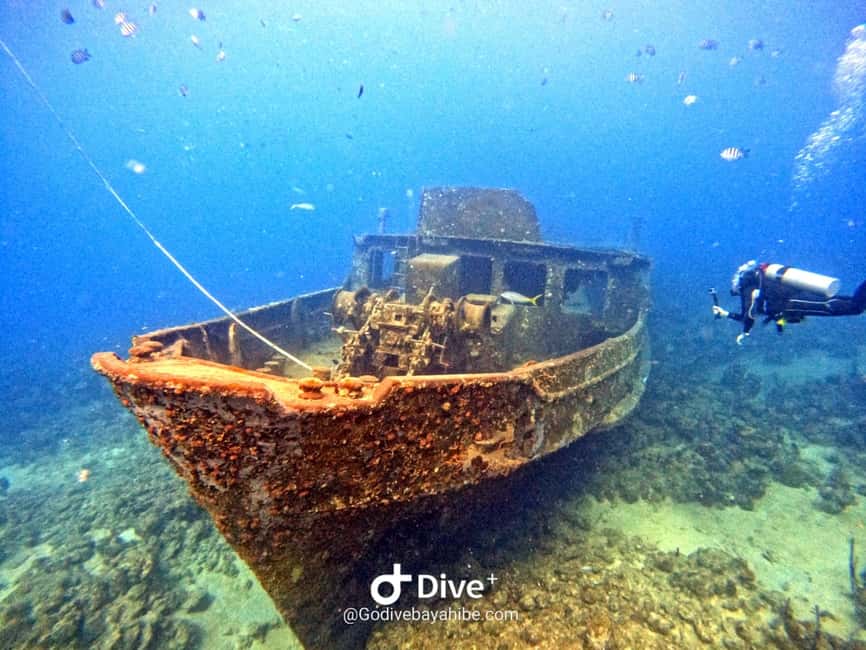 Bayahibe: Snorkeling Tour - Sea, Cotubanama park & Cenotes - Packing and water comfort: the “small stuff” that changes your day