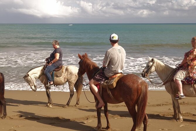 Beach Horse Ride with countryside amber cove & Taino Bay - Beach riding and countryside views near Amber Cove and Taino Bay