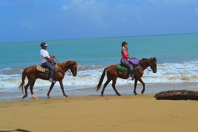 Beach Horse Ride with countryside amber cove & Taino Bay - How the ride is paced: what to expect from the ranch setup