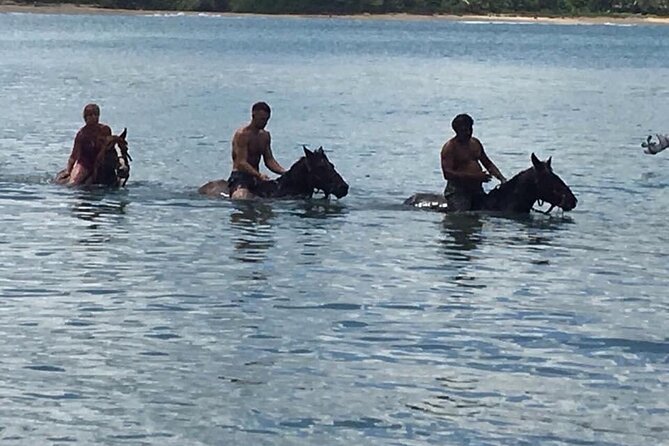 Beach Horse Ride with countryside amber cove & Taino Bay - Weather, animal care, and what to bring for comfort