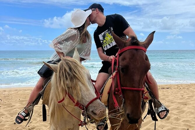 Beach Horseback Ride Tour at Punta Cana - What the 2.5 Hours Feels Like: Timing, Pickup, and Realistic Pacing