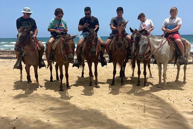 Beach Horseback Ride Tour at Punta Cana - Who This Horseback Ride Fits Best (and Who Should Think Twice)