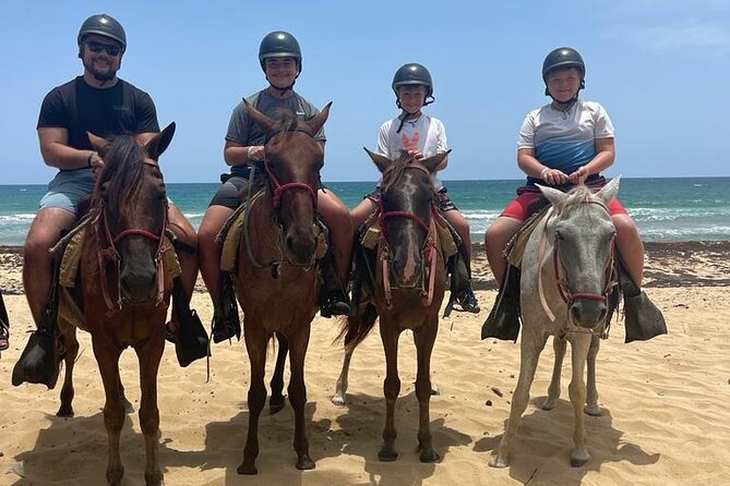 Beach Horseback Ride Tour at Punta Cana - Should You Book This Punta Cana Beach Horseback Ride?