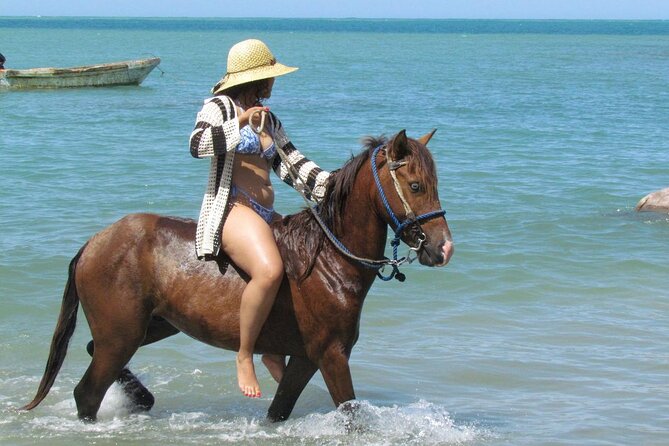 Beach Horseback Ride Tour in Puerto Plata - Scenic & Fun for All - Key takeaways before you ride