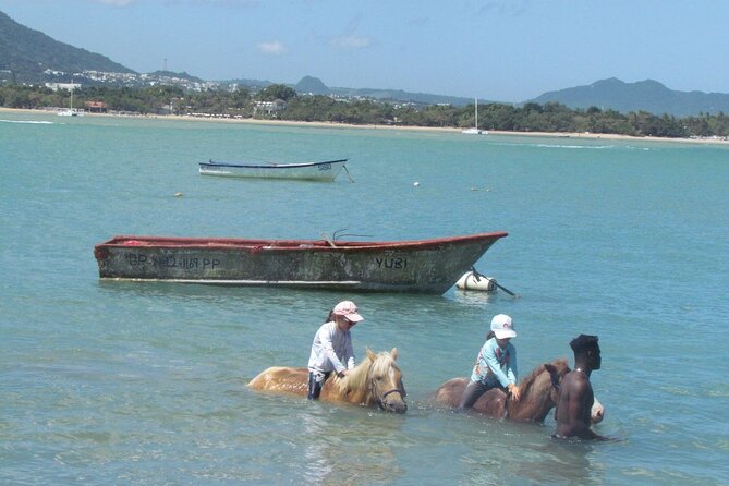 Beach Horseback Ride Tour in Puerto Plata - Scenic & Fun for All - Price and logistics: is $70 a fair deal?