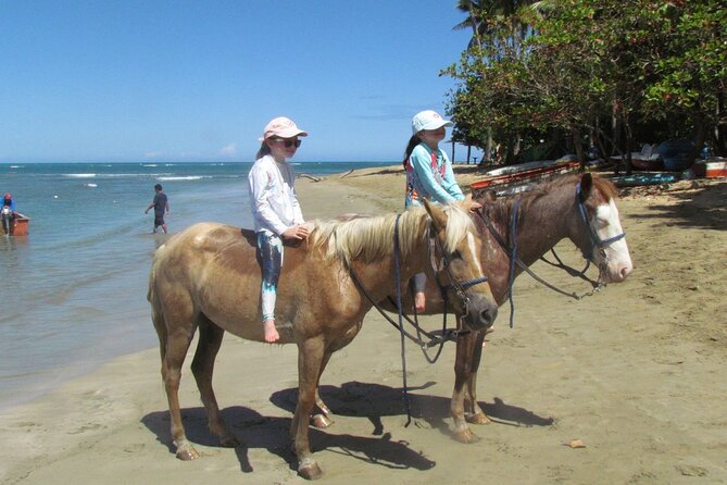 Beach Horseback Ride Tour in Puerto Plata - Scenic & Fun for All - Who should book this horseback ride, and who might want another option