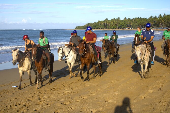 Beach Horseback Riding and Swim Horse in Puerto Plata - Puerto Plata Horseback Riding, the Real Reason It’s Fun
