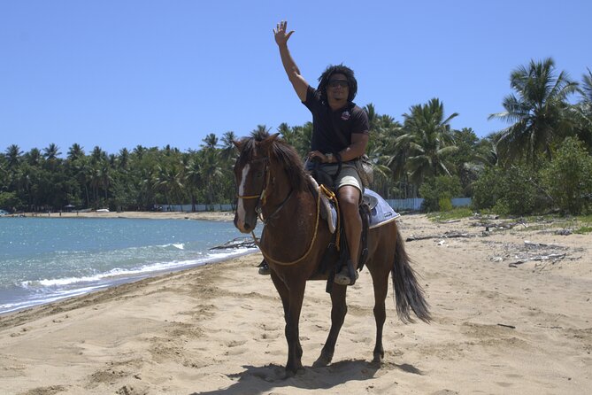 Beach Horseback Riding and Swim Horse in Puerto Plata - Price and Value: Why $79 Can Make Sense Here