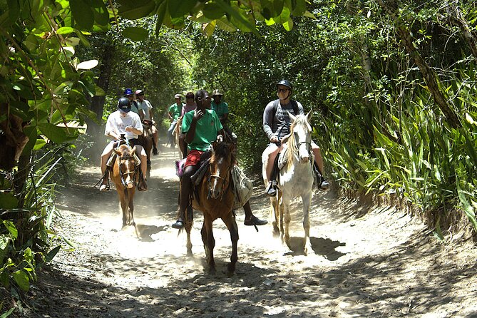 Beach Horseback Riding and Swim Horse in Puerto Plata - Practical Tips: Weight Limit, Flags, and What to Bring