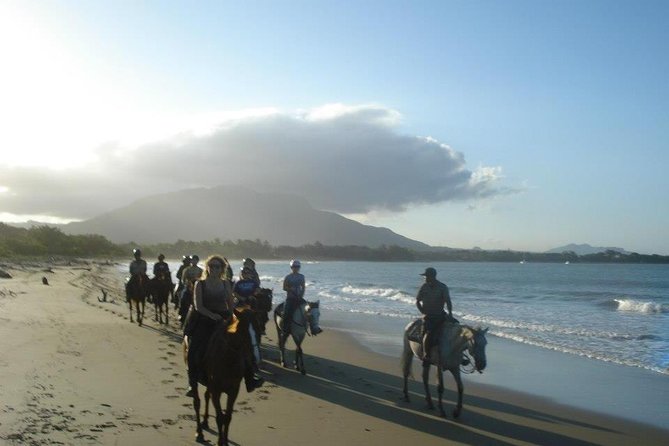 Beach Horseback Riding in Puerto Plata - Key Points You Should Know Before You Go