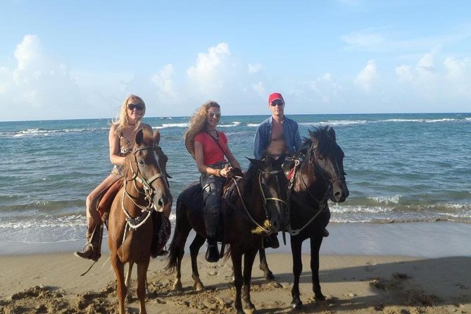 Beach Horseback Riding in Puerto Plata - Why This Beach Horseback Riding in Puerto Plata Feels Like a Real Escape