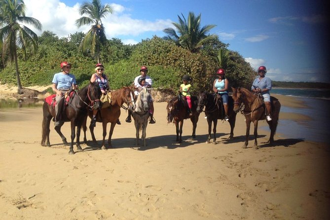 Beach Horseback Riding in Puerto Plata - Guides and Horses: What You’re Paying For Beyond the Scenic Marketing
