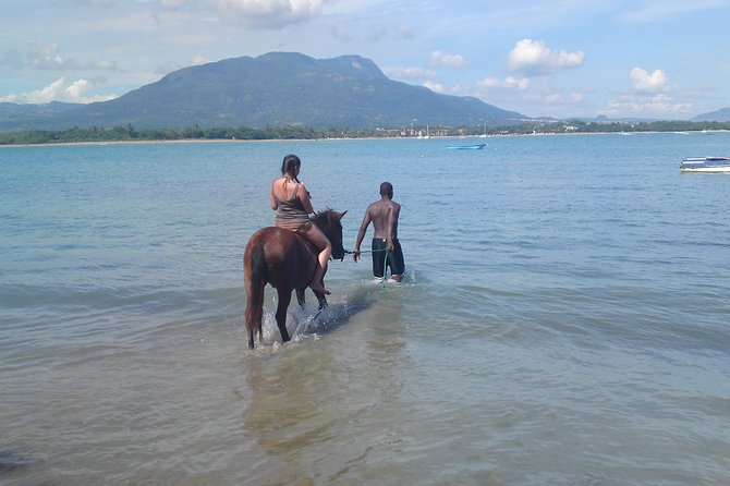 Beach Horseback Riding in Puerto Plata - Who Should Book This Tour, and Who Might Skip It