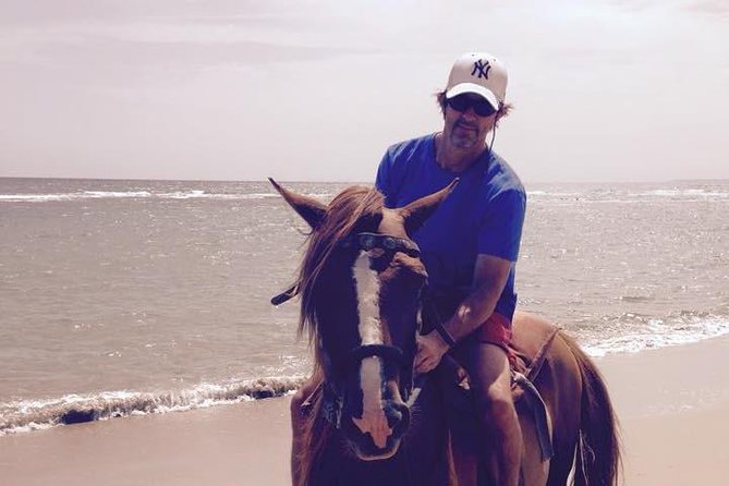 Beach Horseback Riding in Puerto Plata - Pickup in Puerto Plata, Cofresi, Costambar, and Playa Dorada (and the Limits to Know)