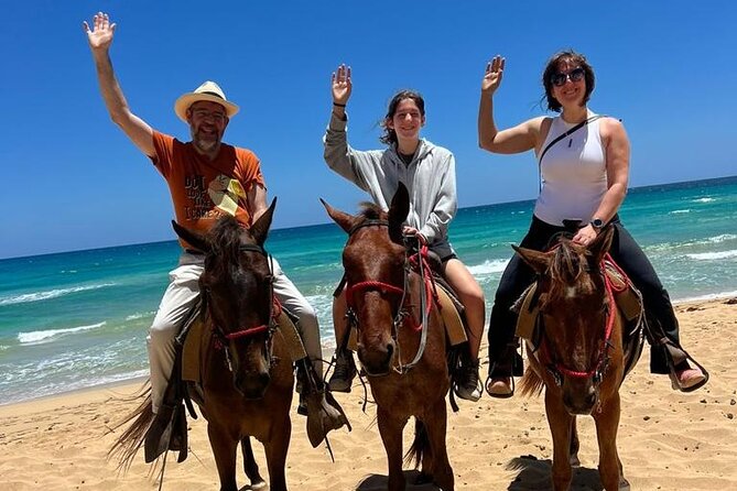 Beach Sunset Horseback Ride in Punta Cana - Price and Value for a $55 Beach Ride