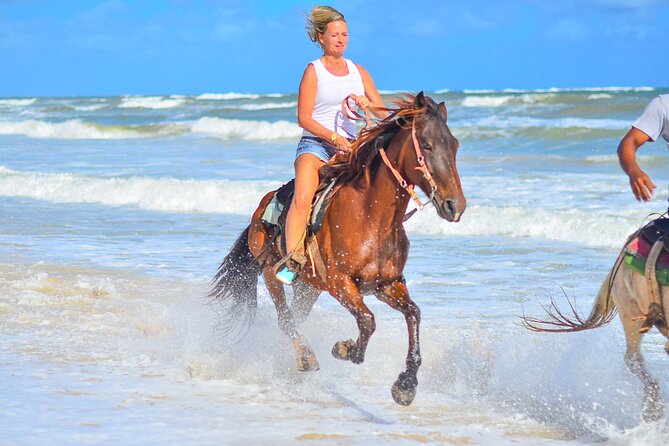 Beach Sunset on Horse Riding in Punta Cana(Private Option) - Key Points Before You Go