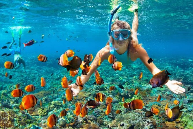 Boat Tour to Bibijagua Beach from Punta Cana - Is the party vibe worth it for a first-time visitor?