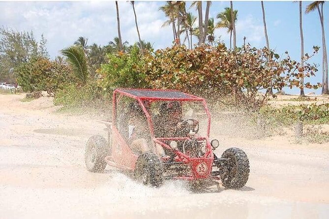 Boogies & Polaris - Explore Punta Cana in a Buggy - Price and Value: $89 per Group, Up to 2, With Tradeoffs