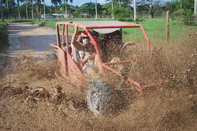 Buggies Experience From Punta Cana - Key Highlights That Make This Buggy Ride Worth It