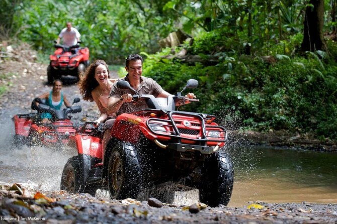 Buggies Macao Beach Tour and Taíno Cave Adventure - Key highlights to look for